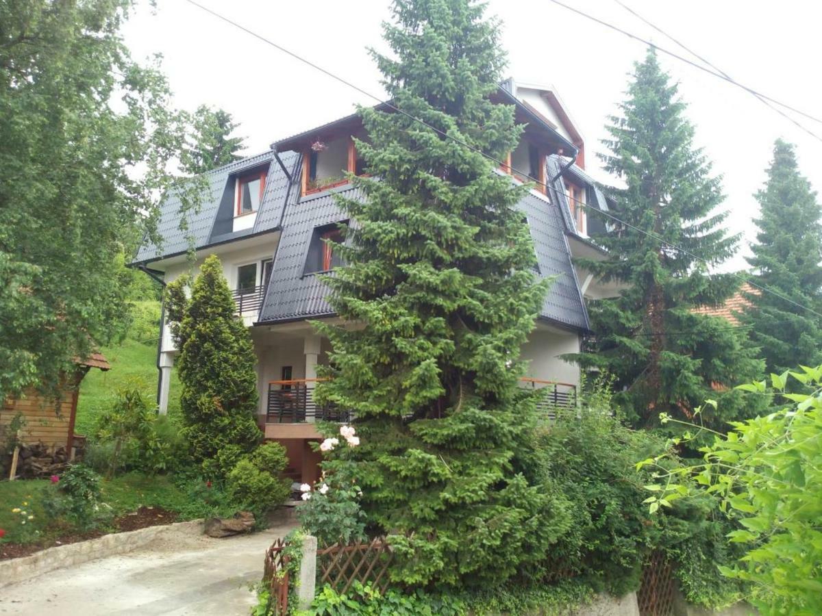 Guesthouse Hill SJJ Exteriér fotografie