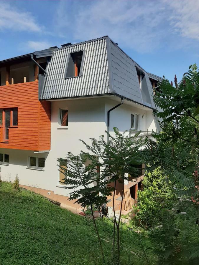 Guesthouse Hill SJJ Exteriér fotografie