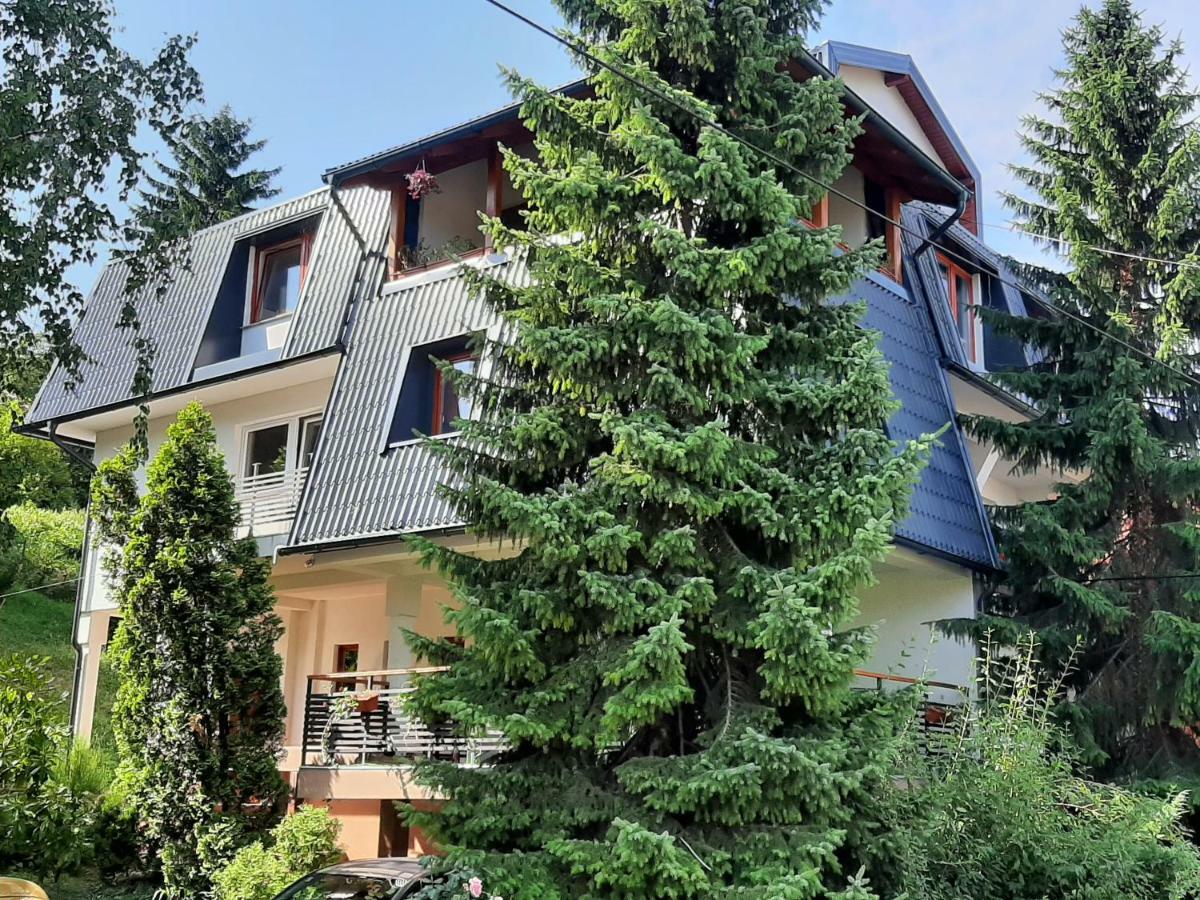 Guesthouse Hill SJJ Exteriér fotografie