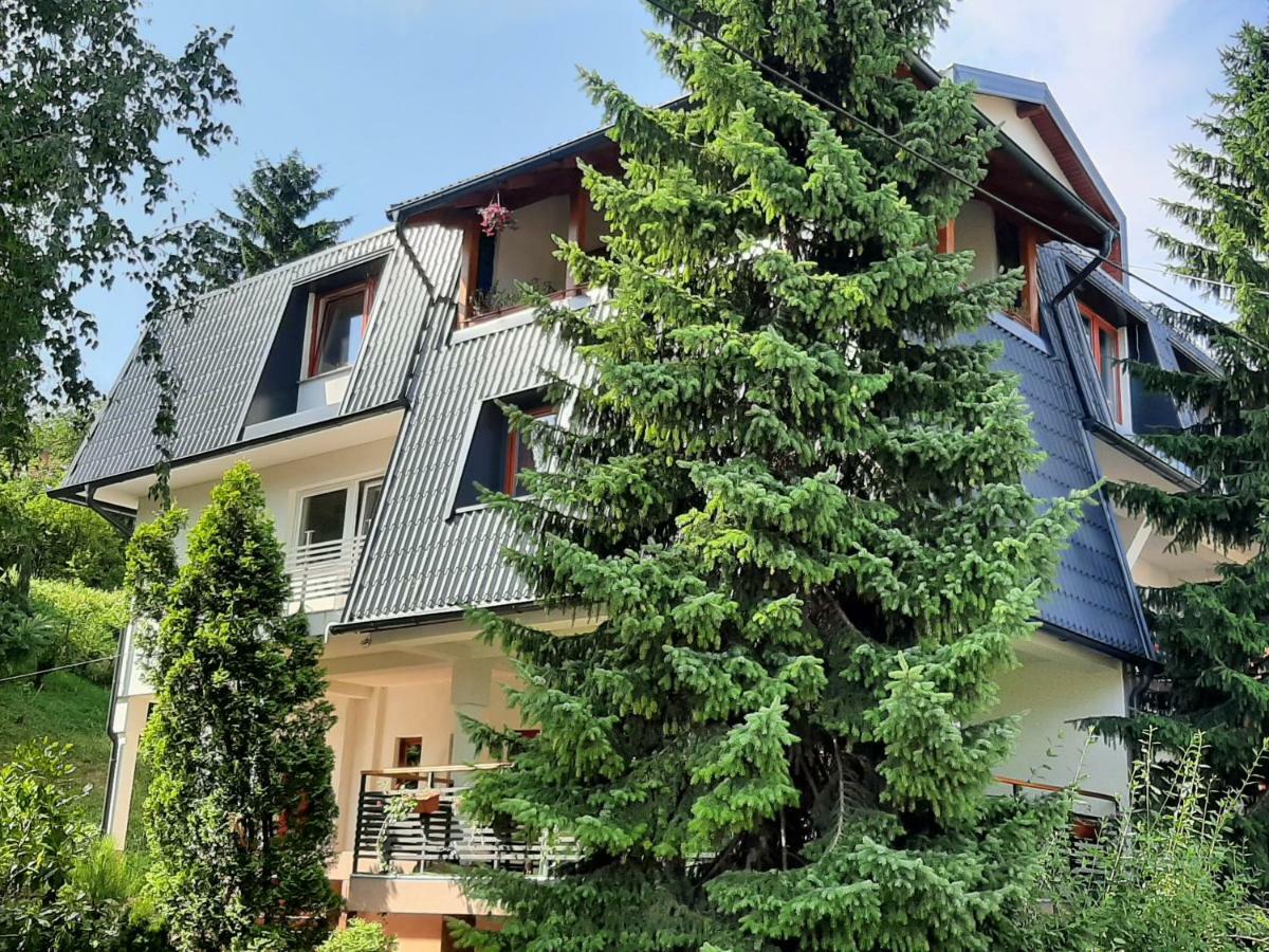 Guesthouse Hill SJJ Exteriér fotografie